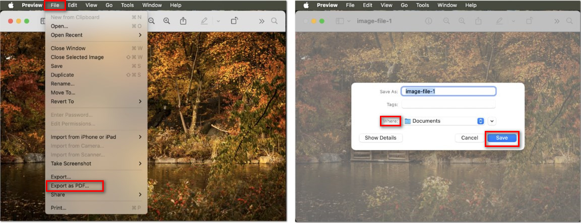 Export Screenshot to PDF on Mac