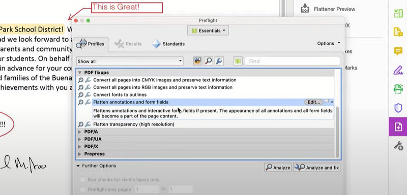 Select Flatten Annotations and Form Fields