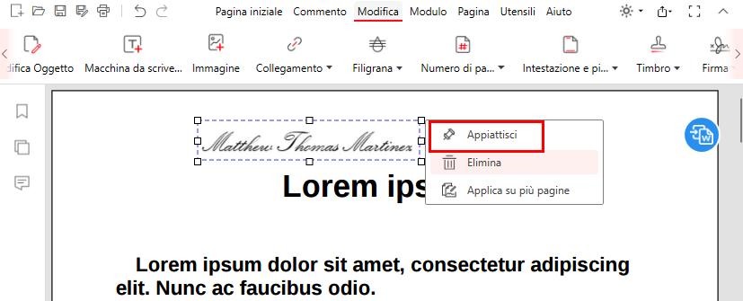 Posiziona e appiattisci le firme in PDFgear