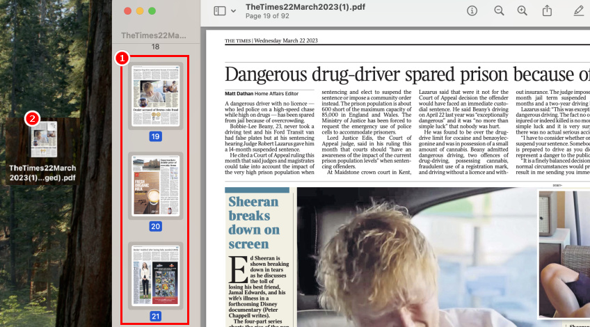 Drag Thumbnails in Preview