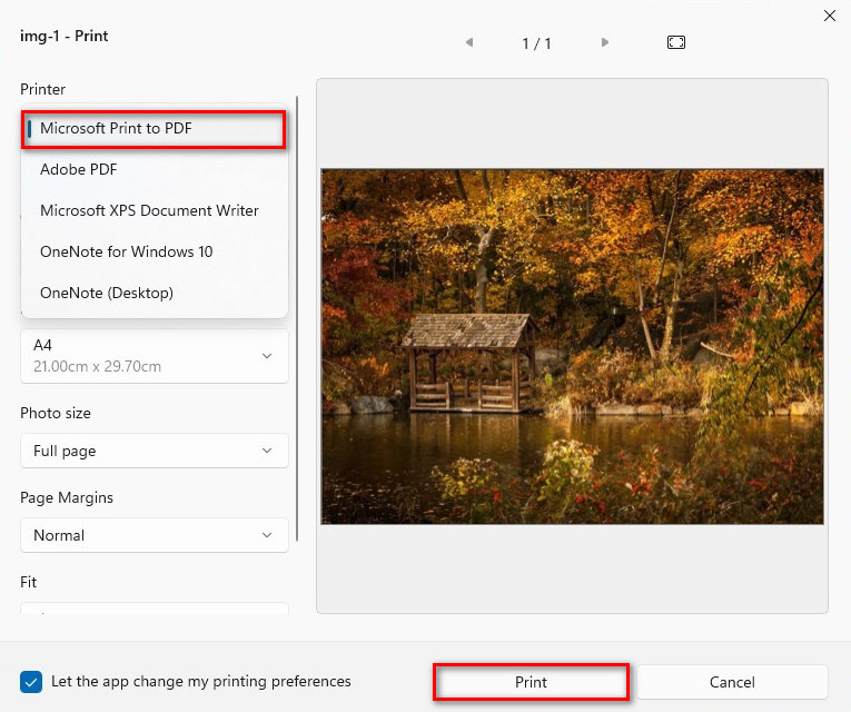 Print PNG to PDF on Windows