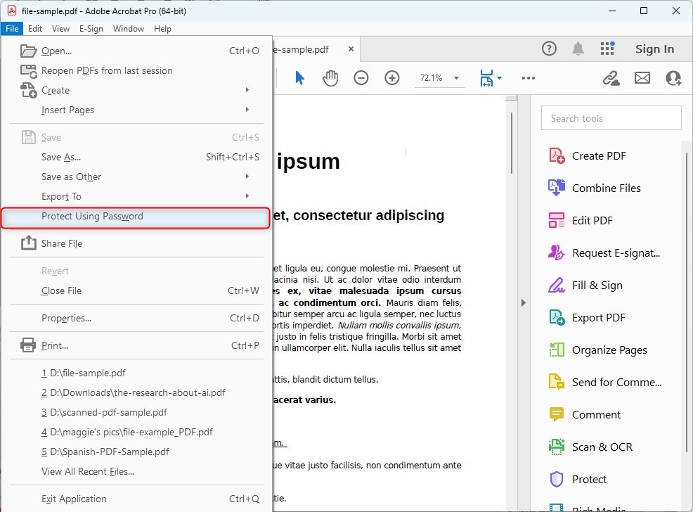 Protect Using Password