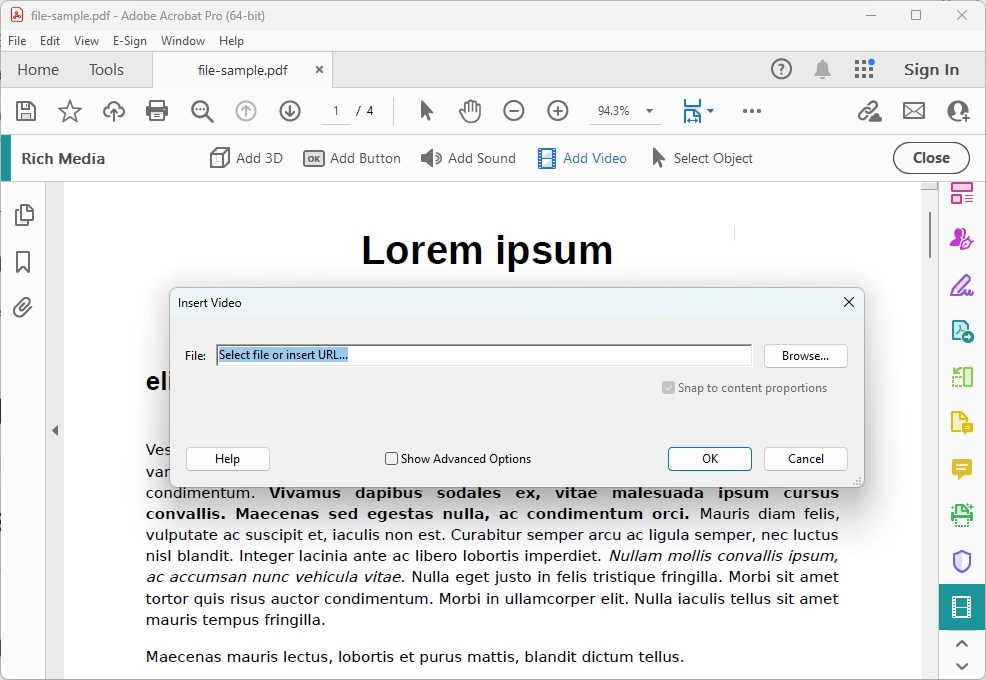 Seleziona File o Inserisci URL